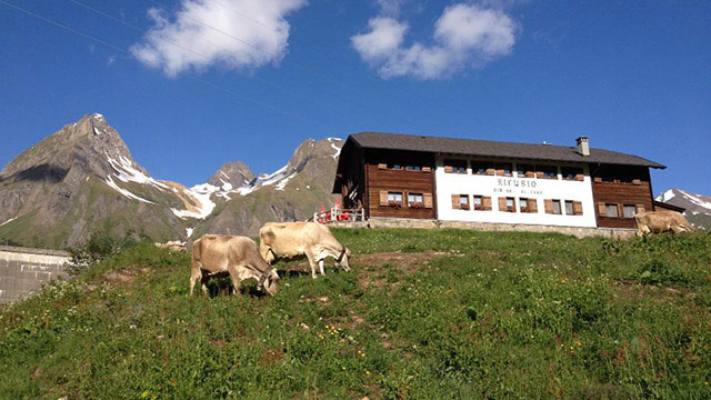 rifugio-bimse-gallery-5