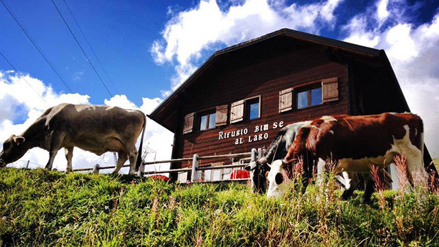 rifugio-bimse-gallery-9