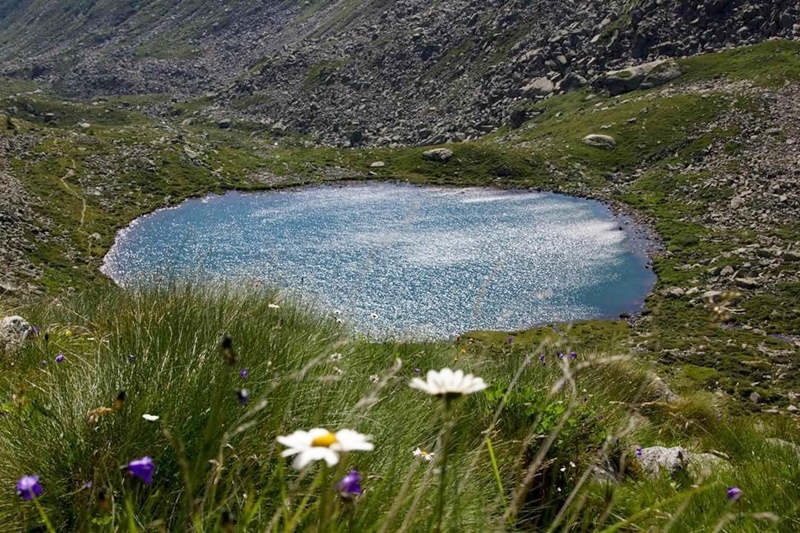 Alpine lakes: indicators of global change